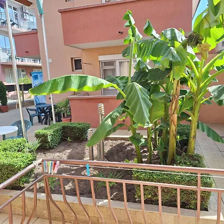 Pensionat авеню