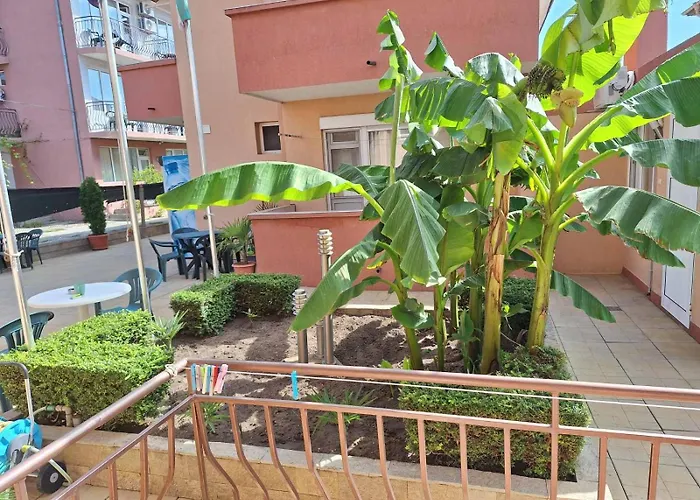 招待所 авеню